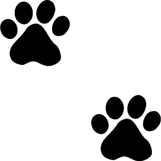 Estampa Aplicável Patas Cachorro Animal Cat