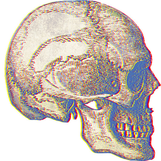 Estampa Aplicável Caveira Vintage Skull Crânio