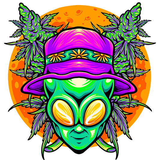 Estampa Aplicável Alien ET Hippie Reggae