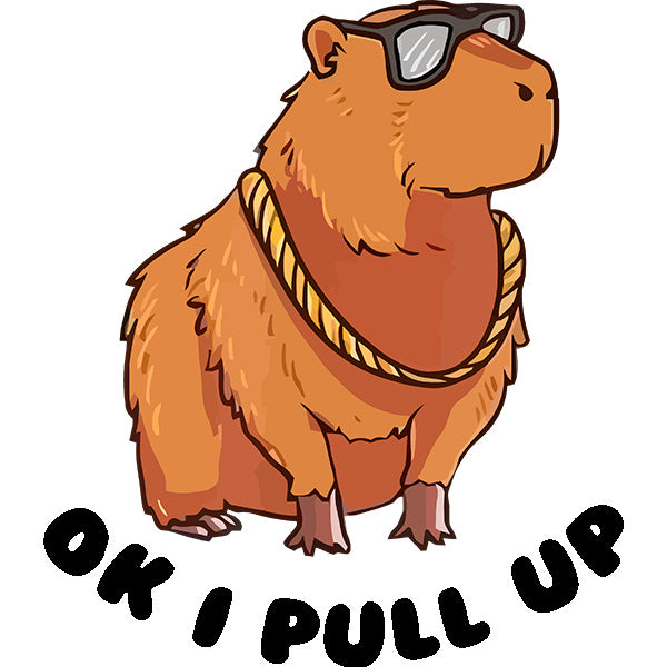 Estampa Aplicável DTF  Capybara Capivara Ok I Pull Up