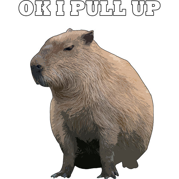 Estampa Aplicável DTF Ok I Pull UP Capivara